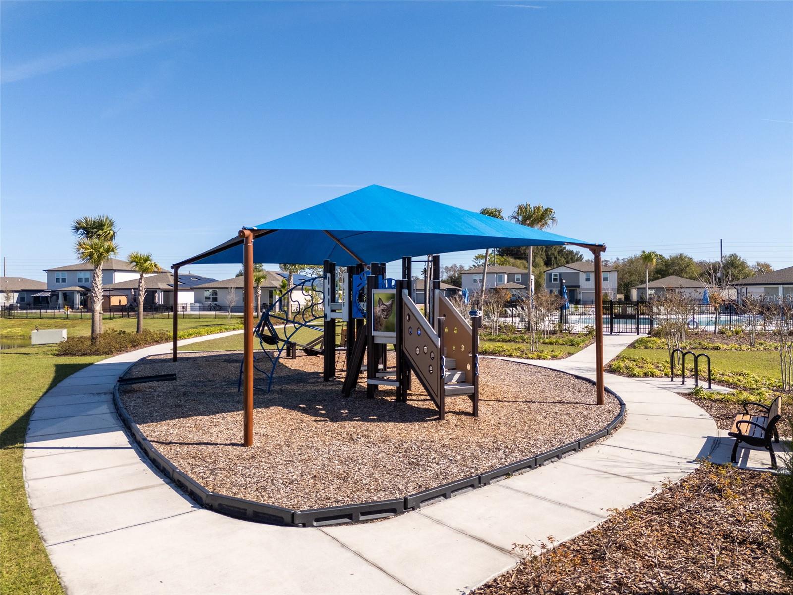 4549 BURROWING OWL LOOP