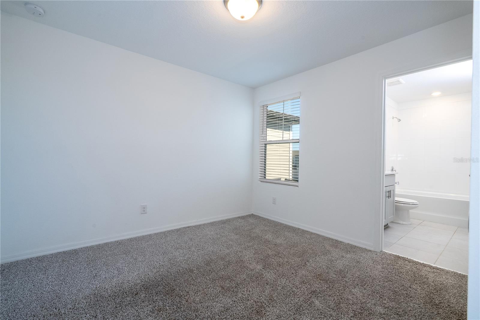 4549 BURROWING OWL LOOP