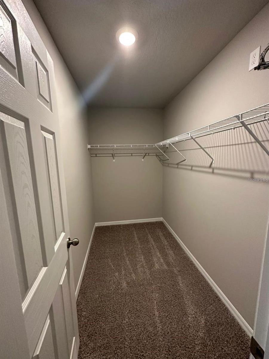 652 LEGACY LOOP