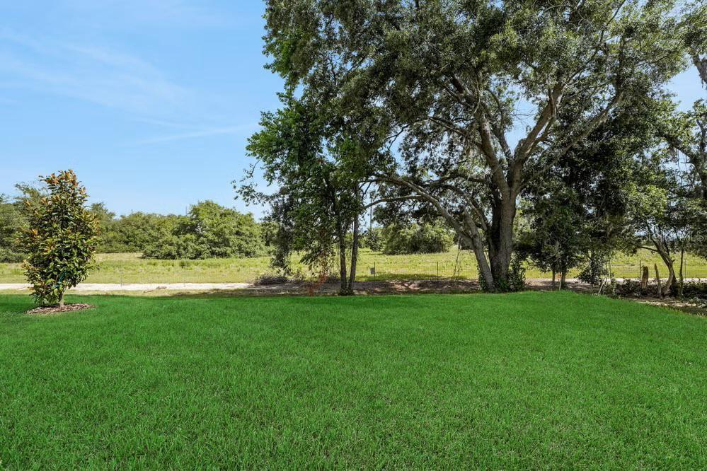 15075 TEA TREE DR