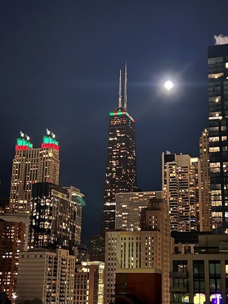 742 N La Salle Drive Unit: 7