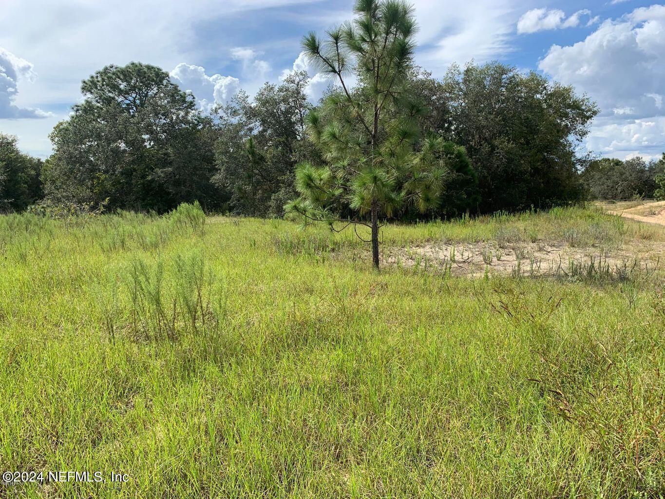 5941 W DUNNELLON Road