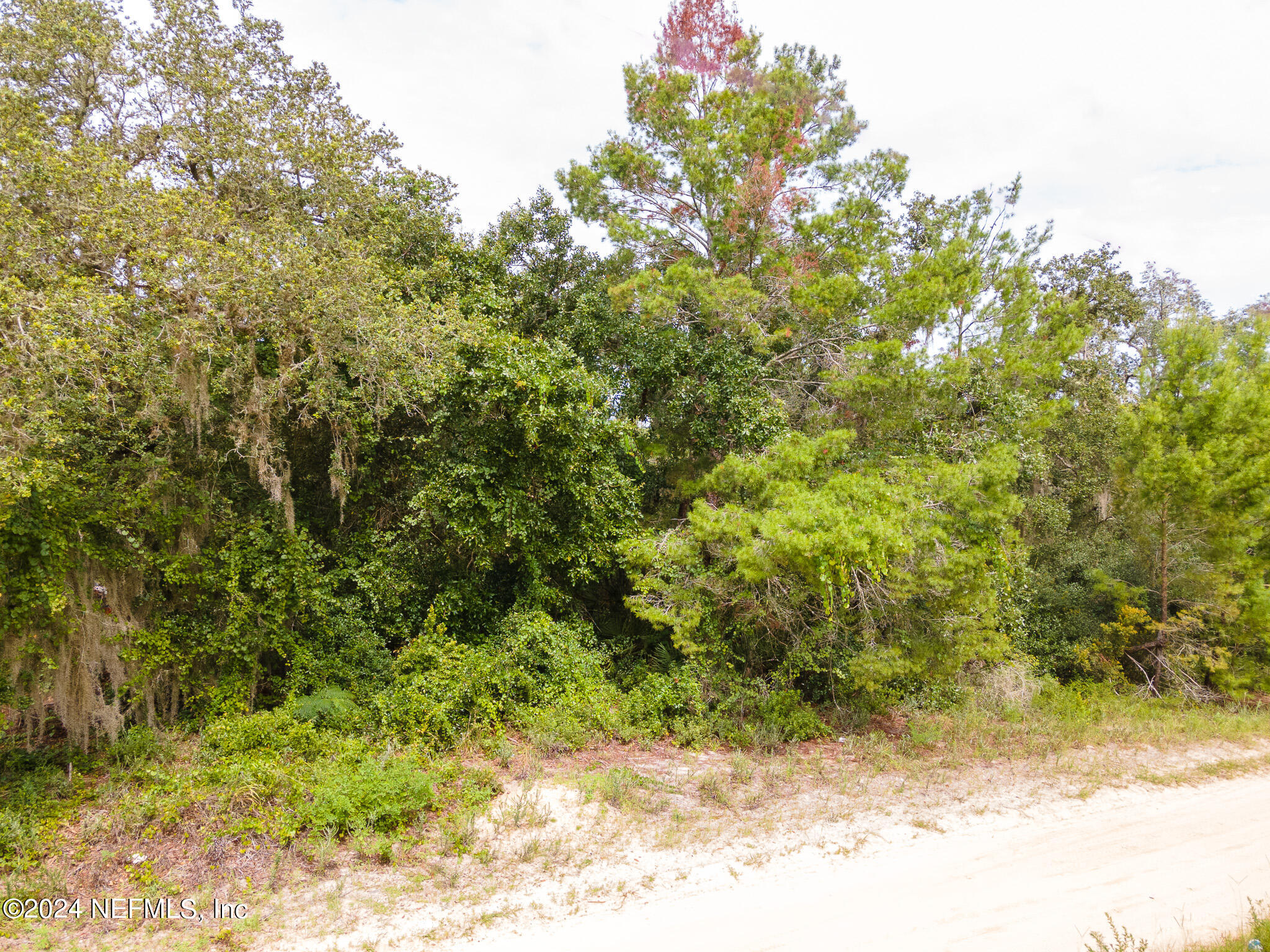 0 PARADISE Road, DeLand