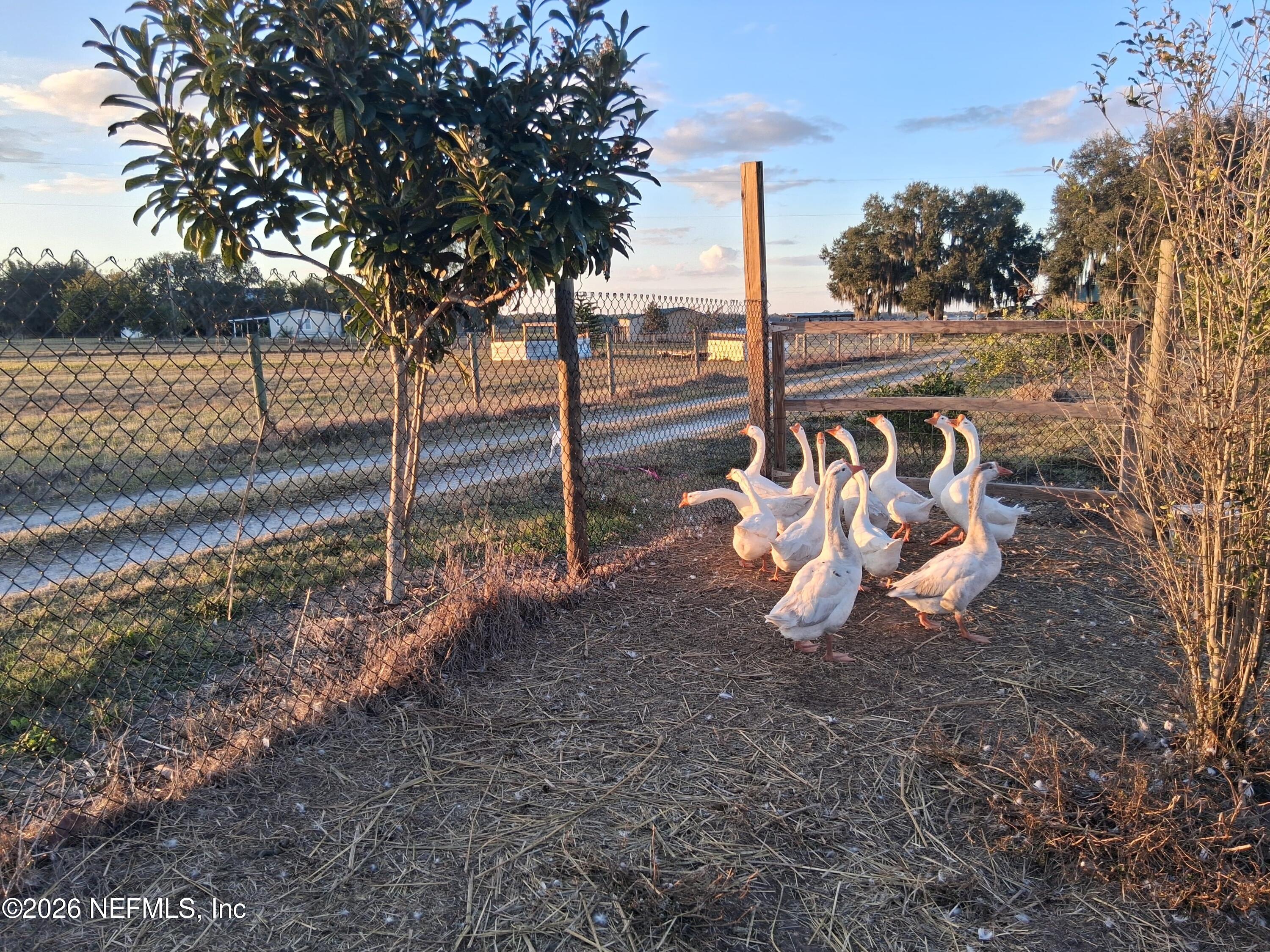 1302 FORT MEADE RD Road