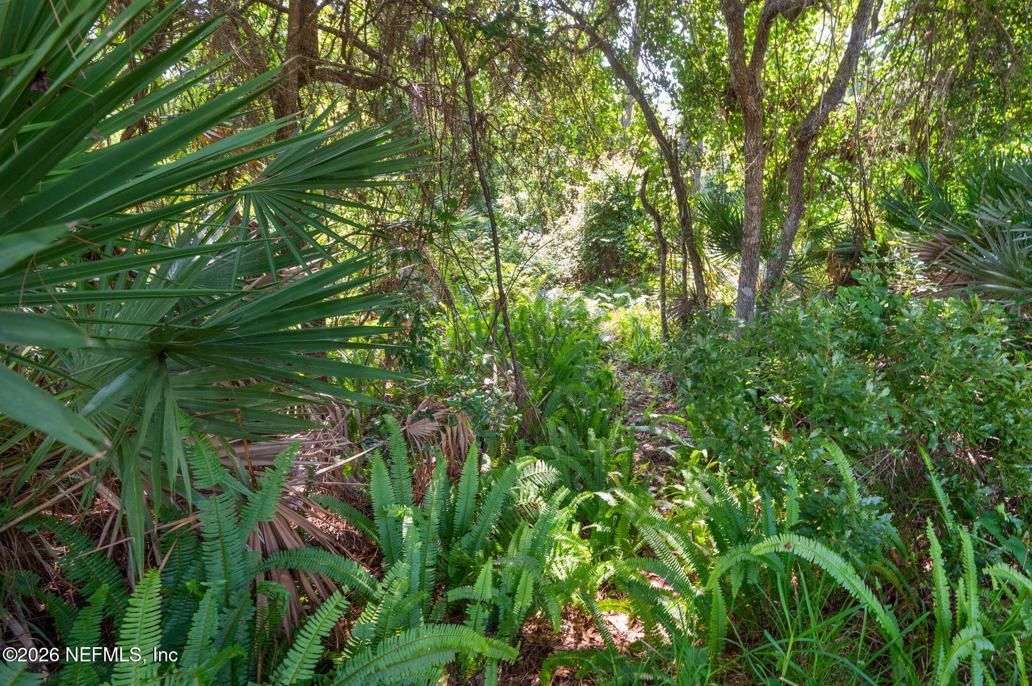 132 BOTTLEBRUSH Drive, St. Augustine
