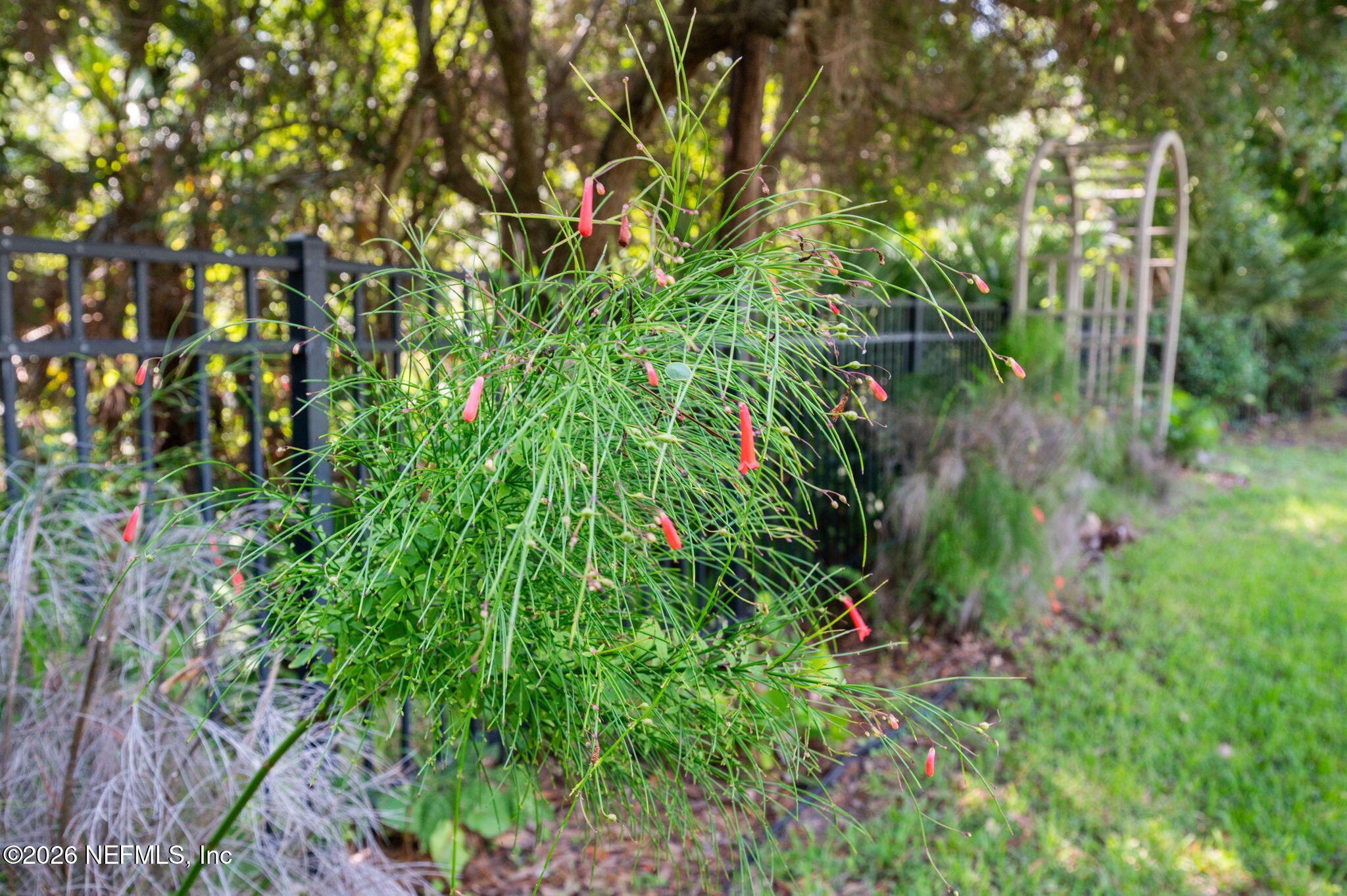 132 BOTTLEBRUSH Drive, St. Augustine