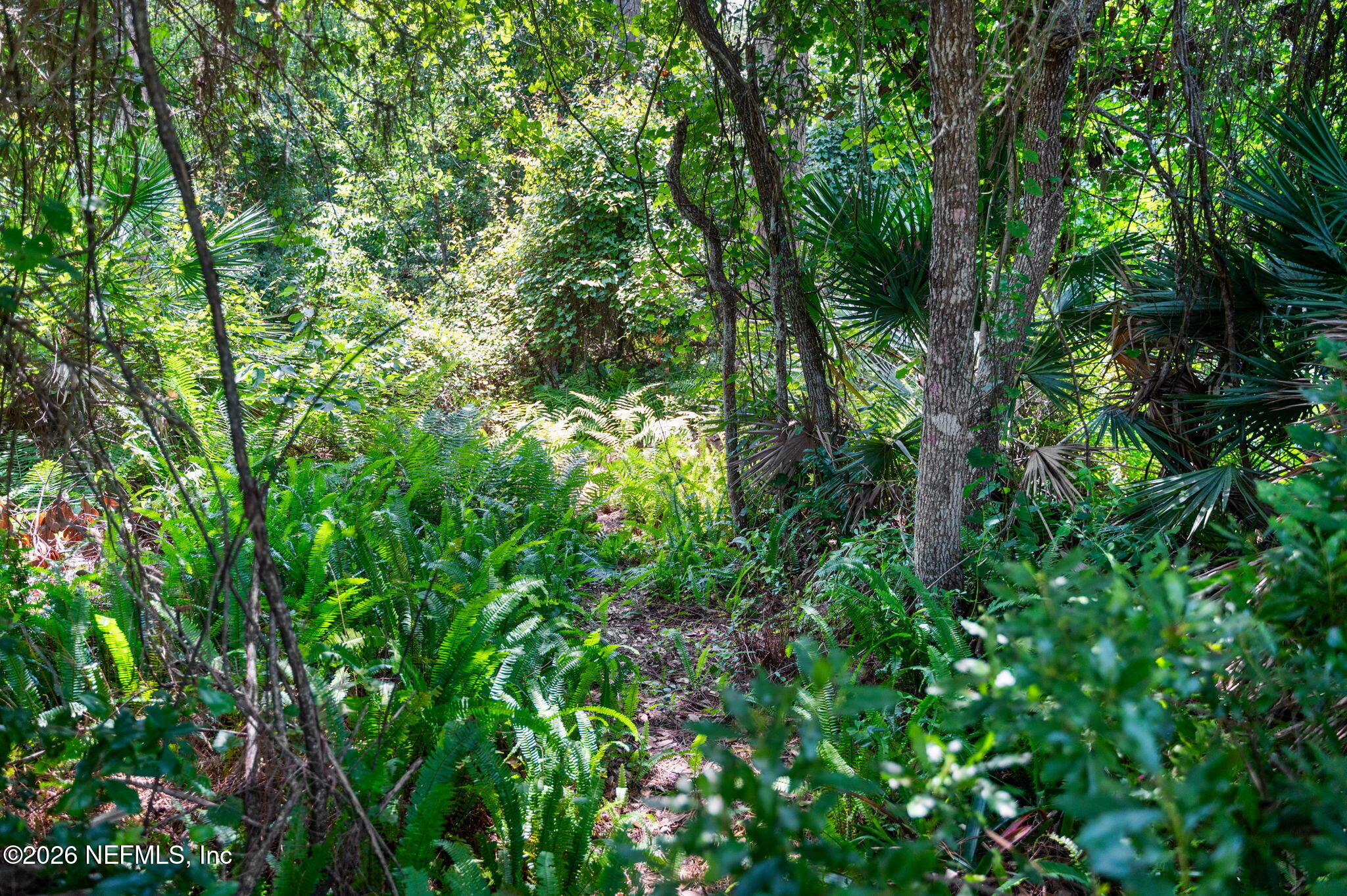 132 BOTTLEBRUSH Drive, St. Augustine