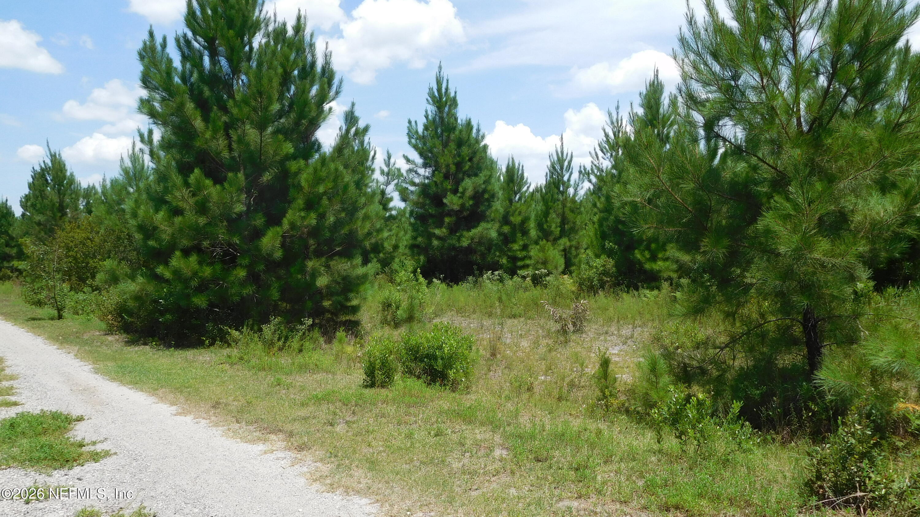 56585 DAVIS Road