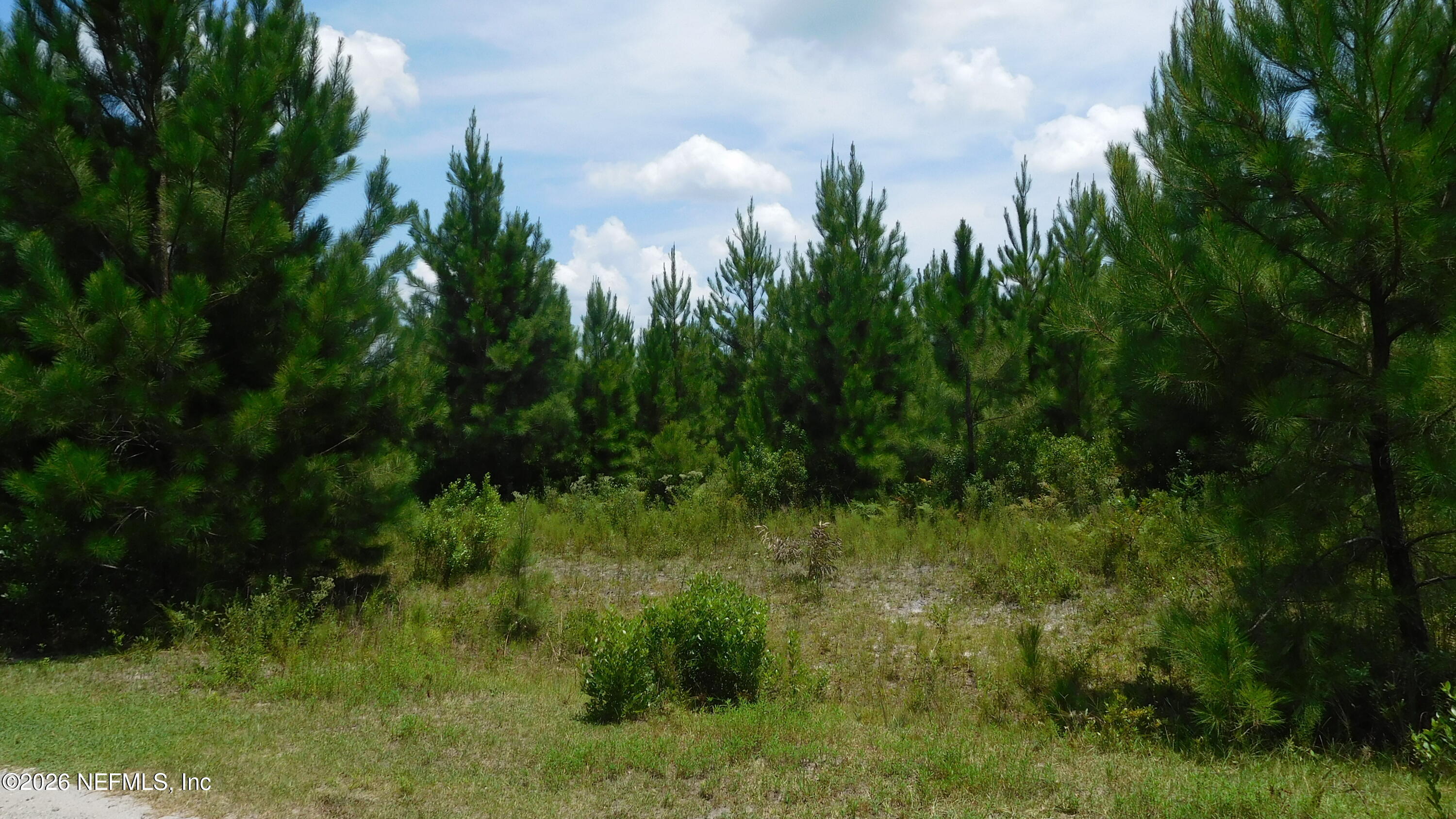 56585 DAVIS Road