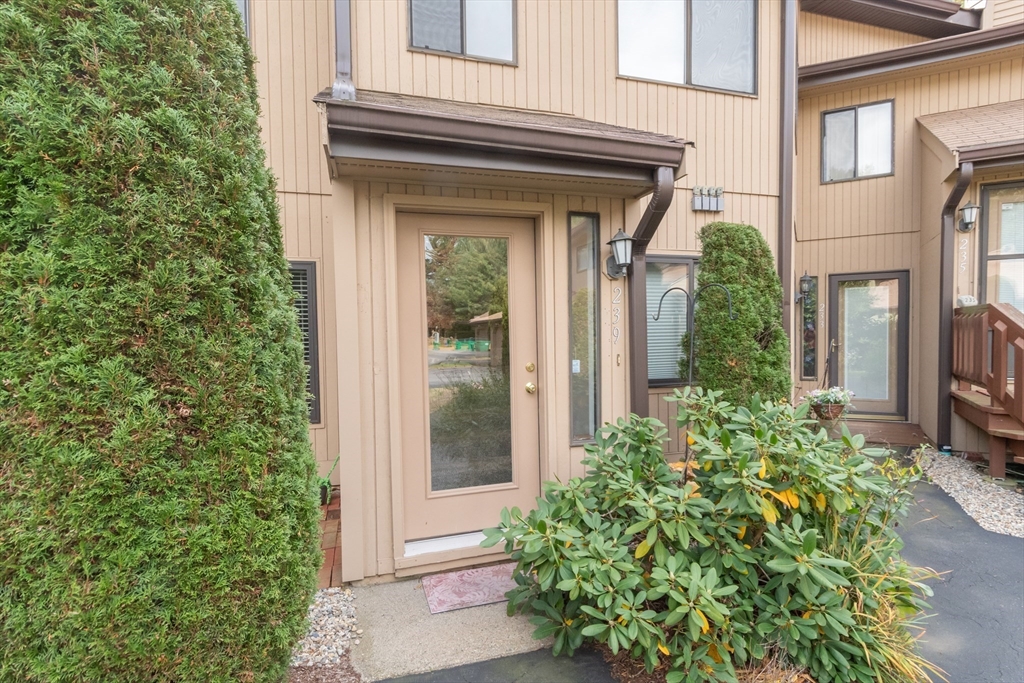 239 Trailside Way # 239