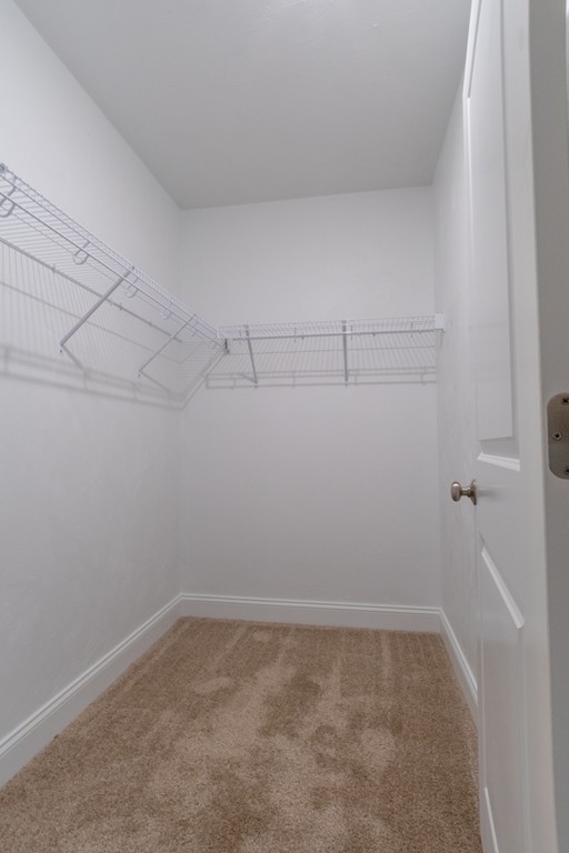 Walk-in closet with beige carpet and white wire shelving.