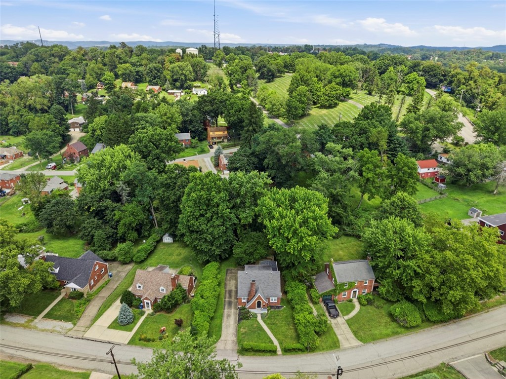 Aerial view of detached homes on a tree-lined street, with wooded hills beyond.