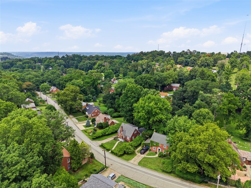 Aerial view of a leafy neighborhood with detached homes and tree-lined streets.