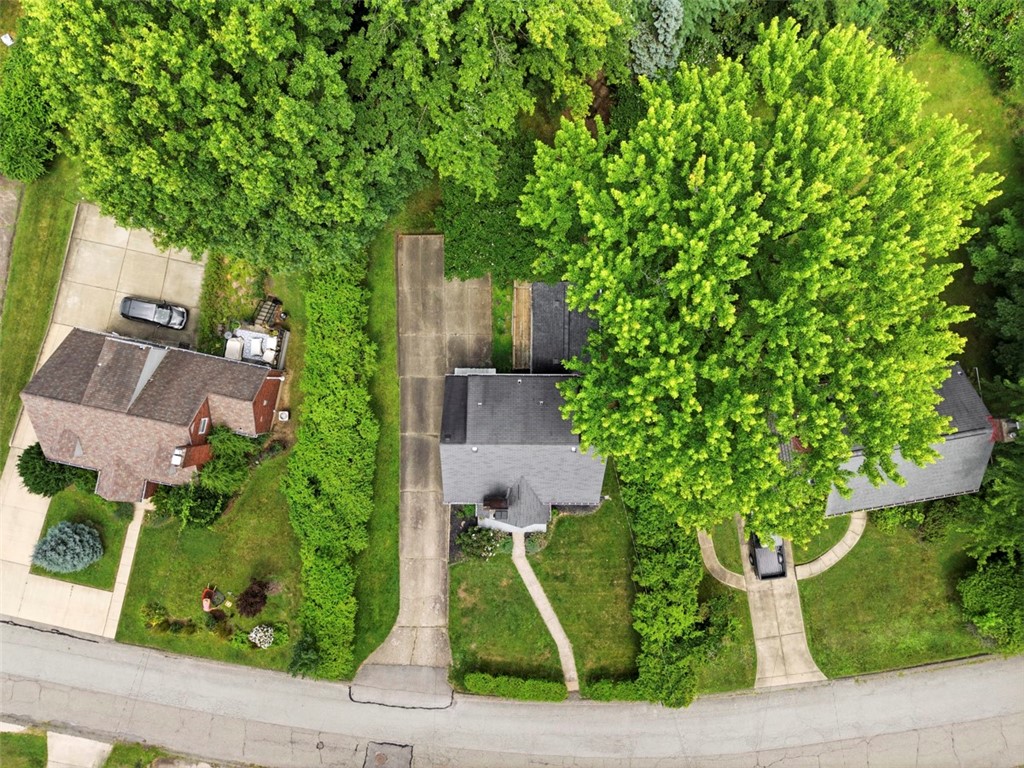Aerial view of a house and driveway surrounded by mature trees and lawn.