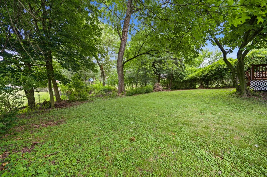 Grassy backyard shaded by mature trees, with a small raised deck at the right.