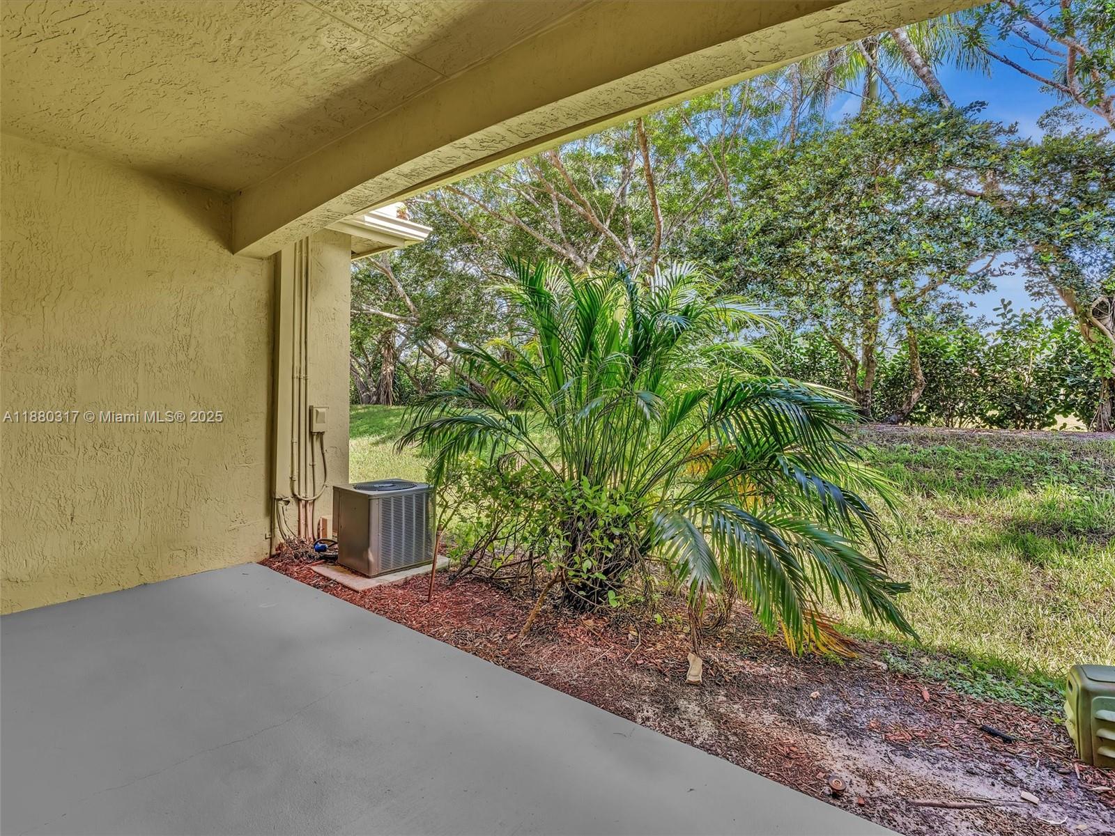 3865 Tree Top Dr