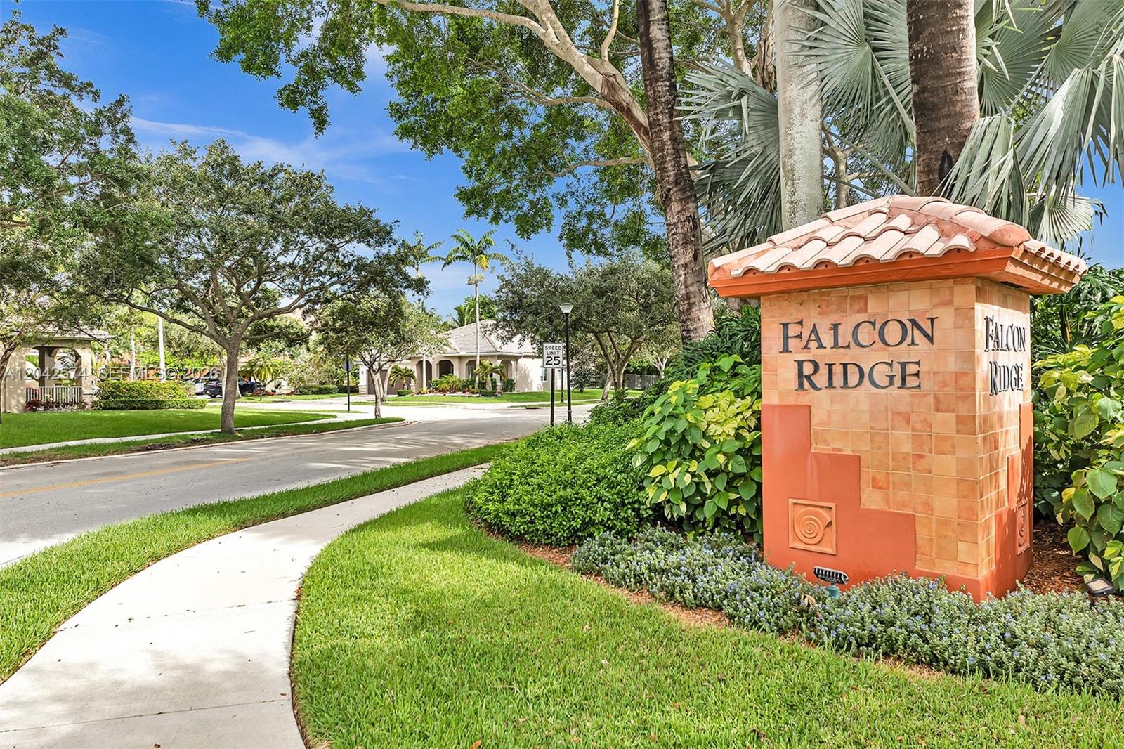3711 Falcon Ridge Cir