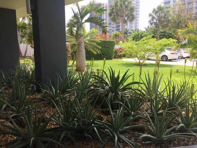 2840 N Ocean Boulevard # 507