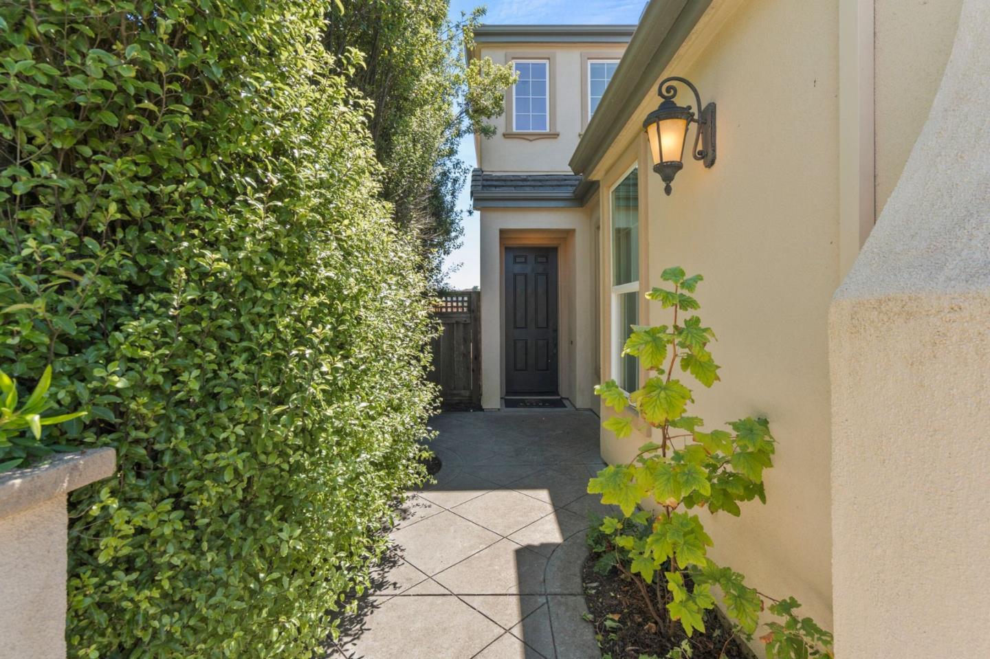 3607 Timor CT
