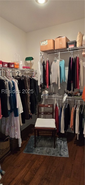 31 Sapelo Island Lane