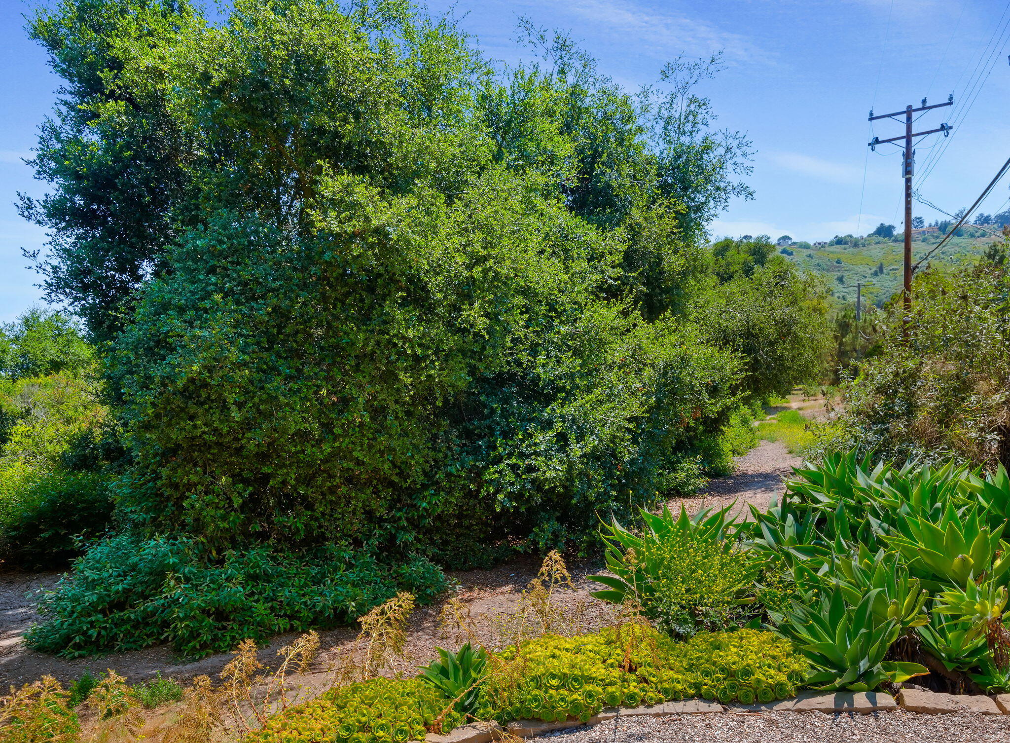 959 Barcelona Drive