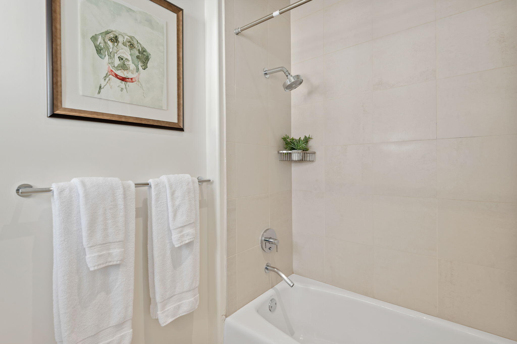 18 W Victoria Street Apt 303