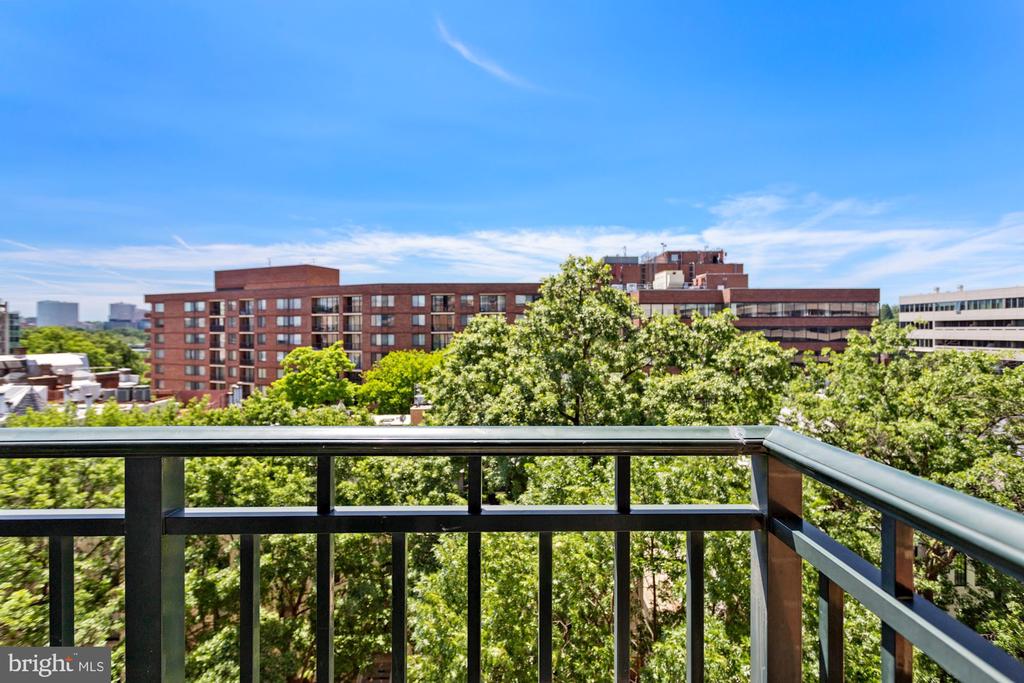 Balcony view over leafy treetops toward nearby multistory buildings.