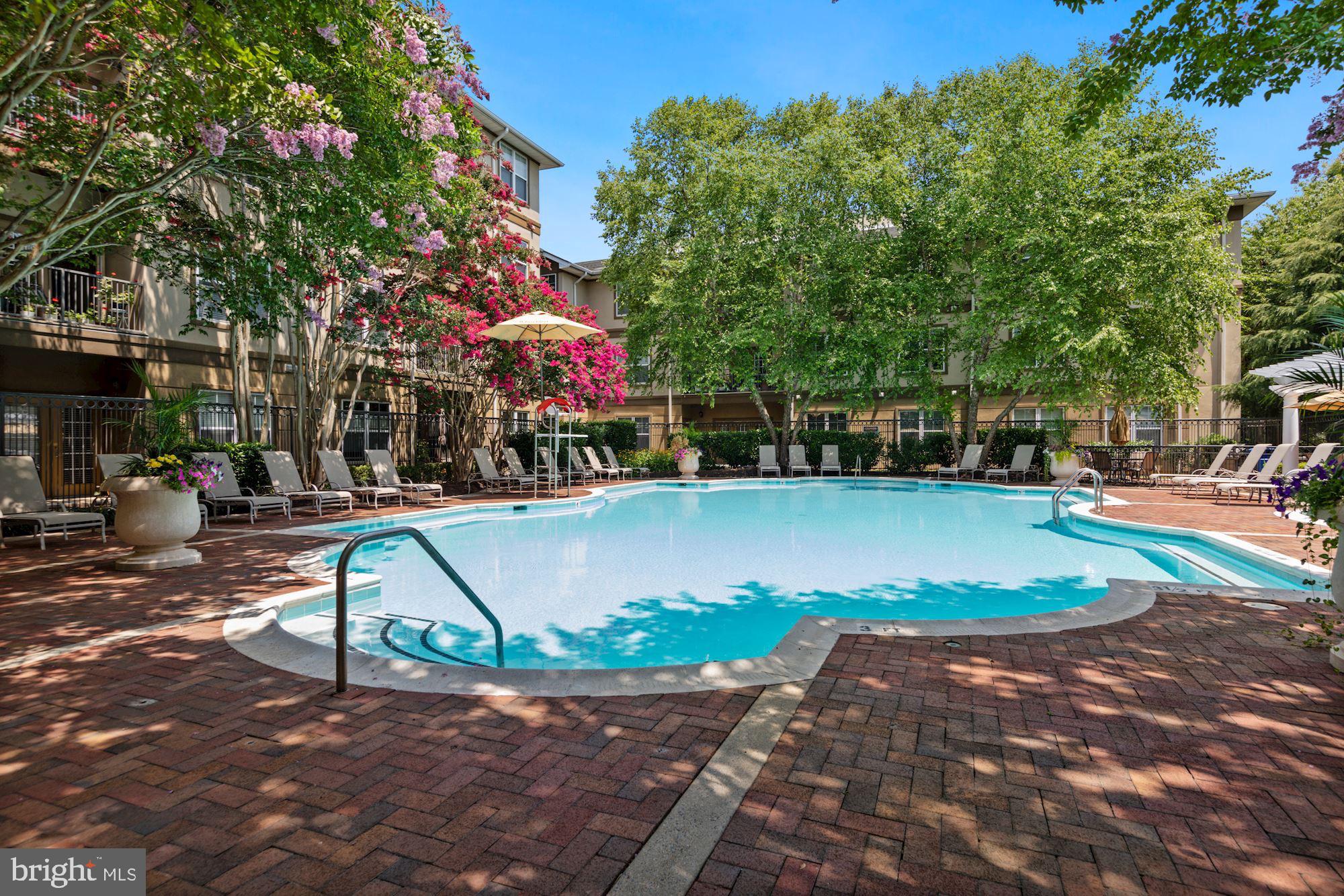11800 OLD GEORGETOWN RD #1121