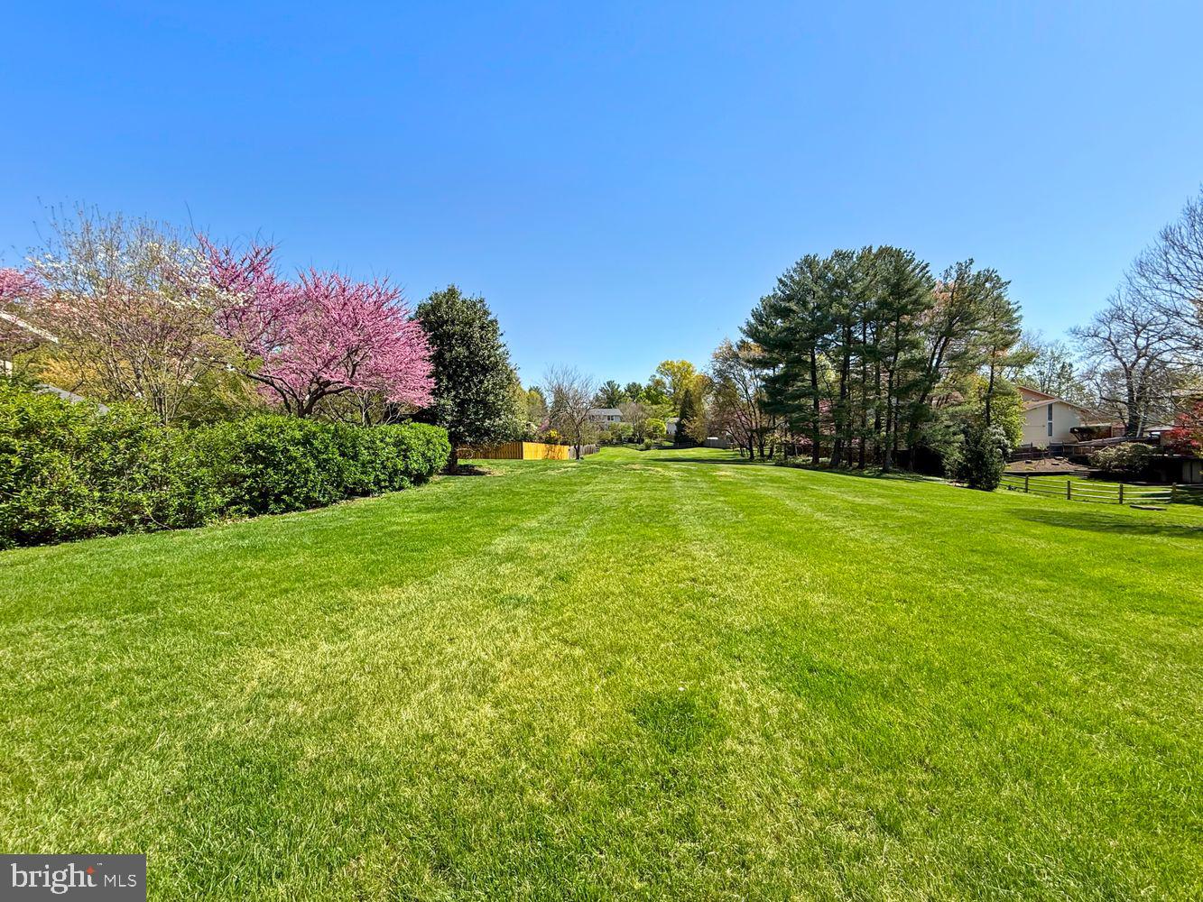11125 Broad Green Dr