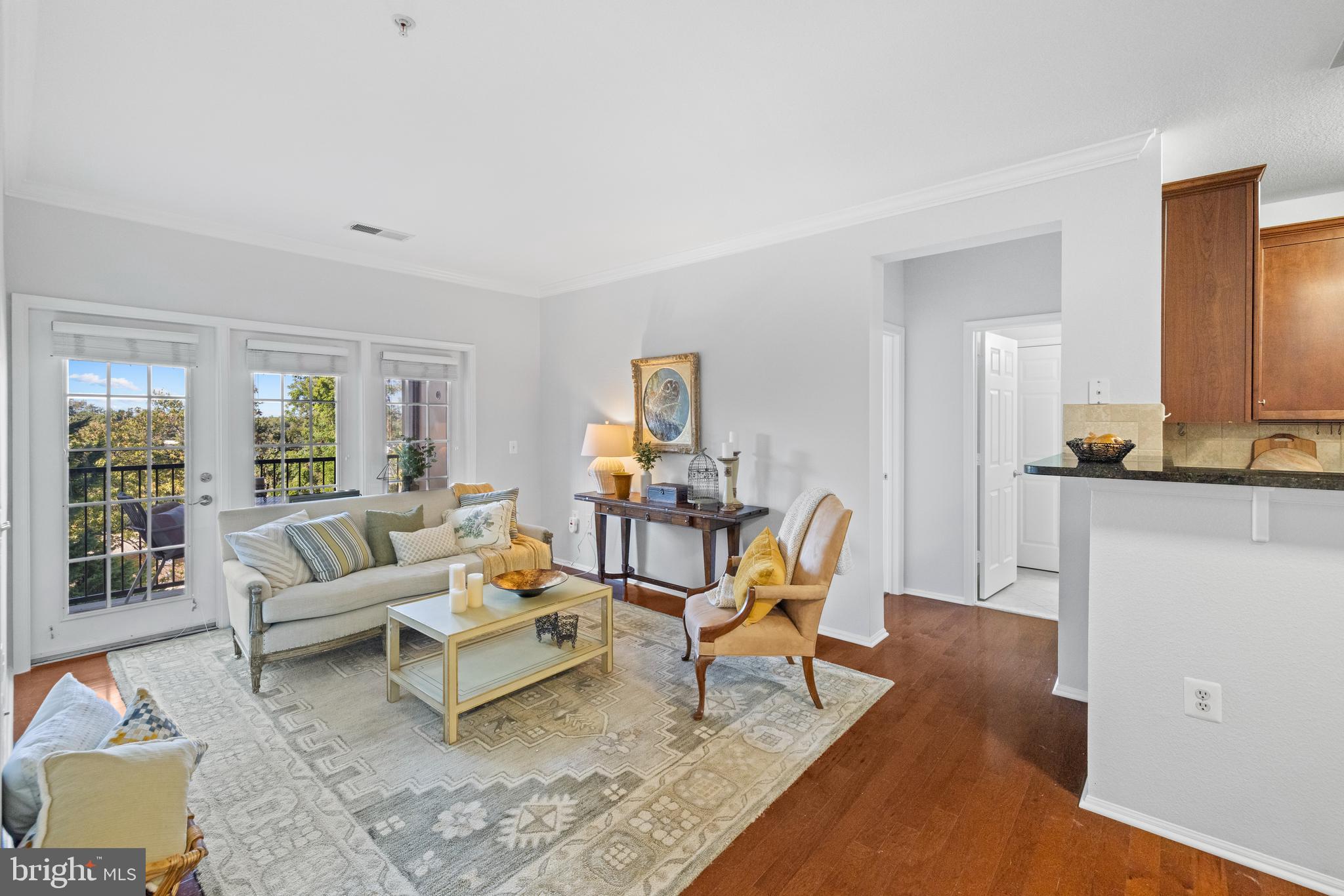 11750 OLD GEORGETOWN 2524