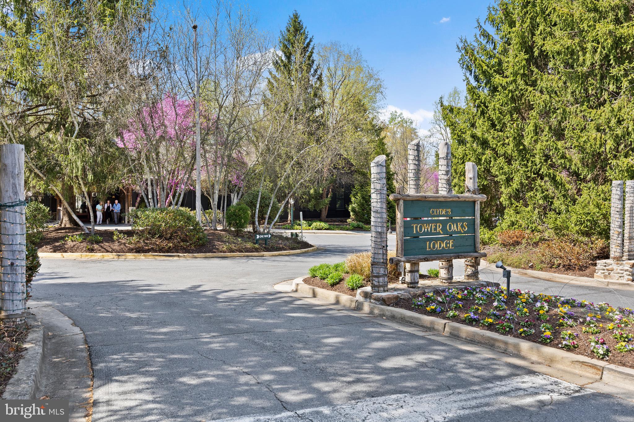 3301 WOODLAND PHLOX STREET