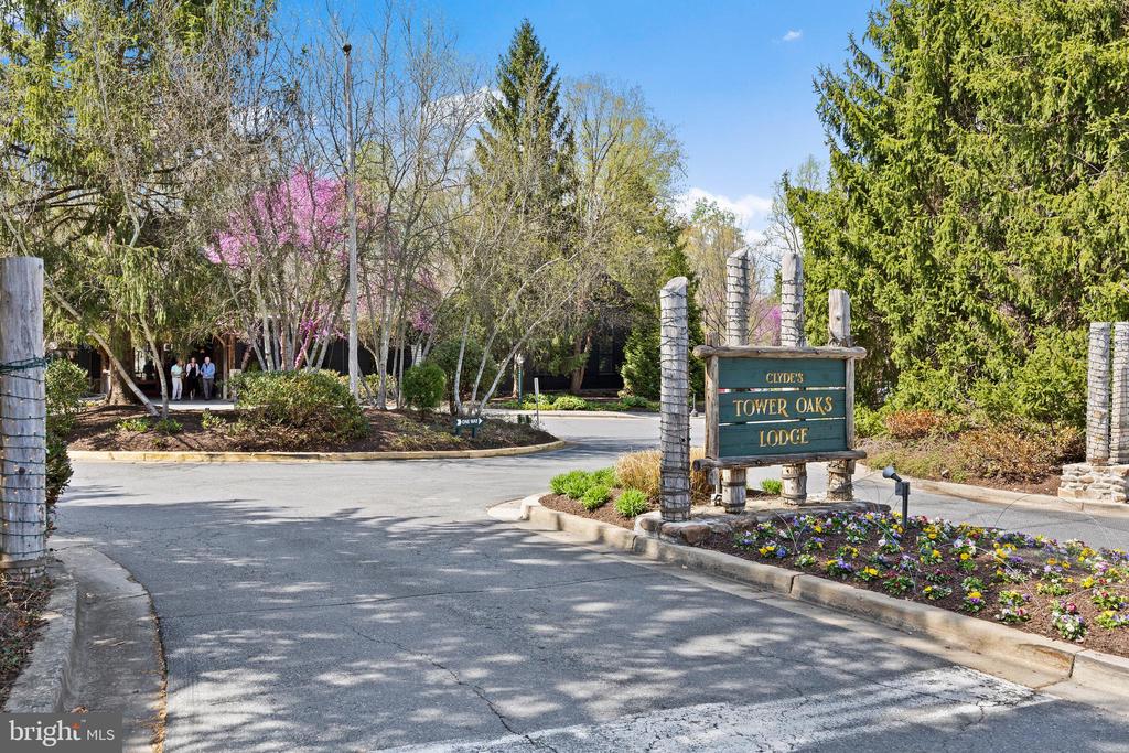 3301 WOODLAND PHLOX STREET