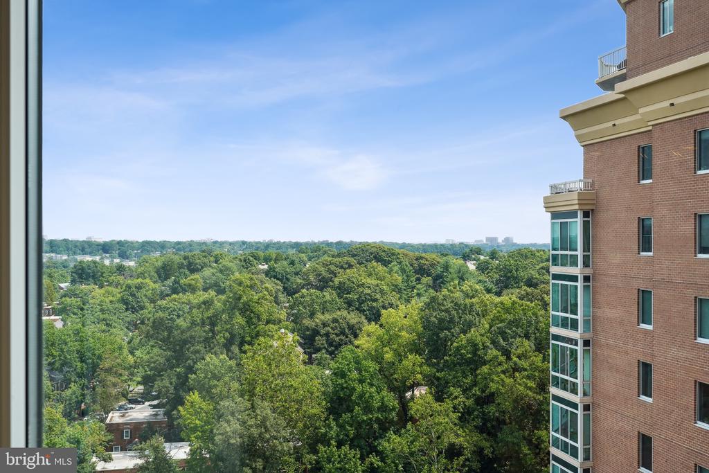 3101 N Hampton Dr #1312