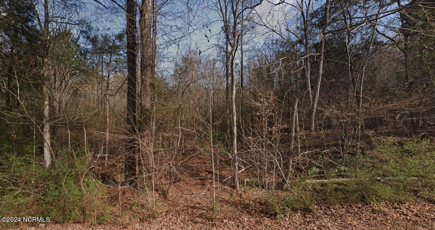 3234 Plank Road