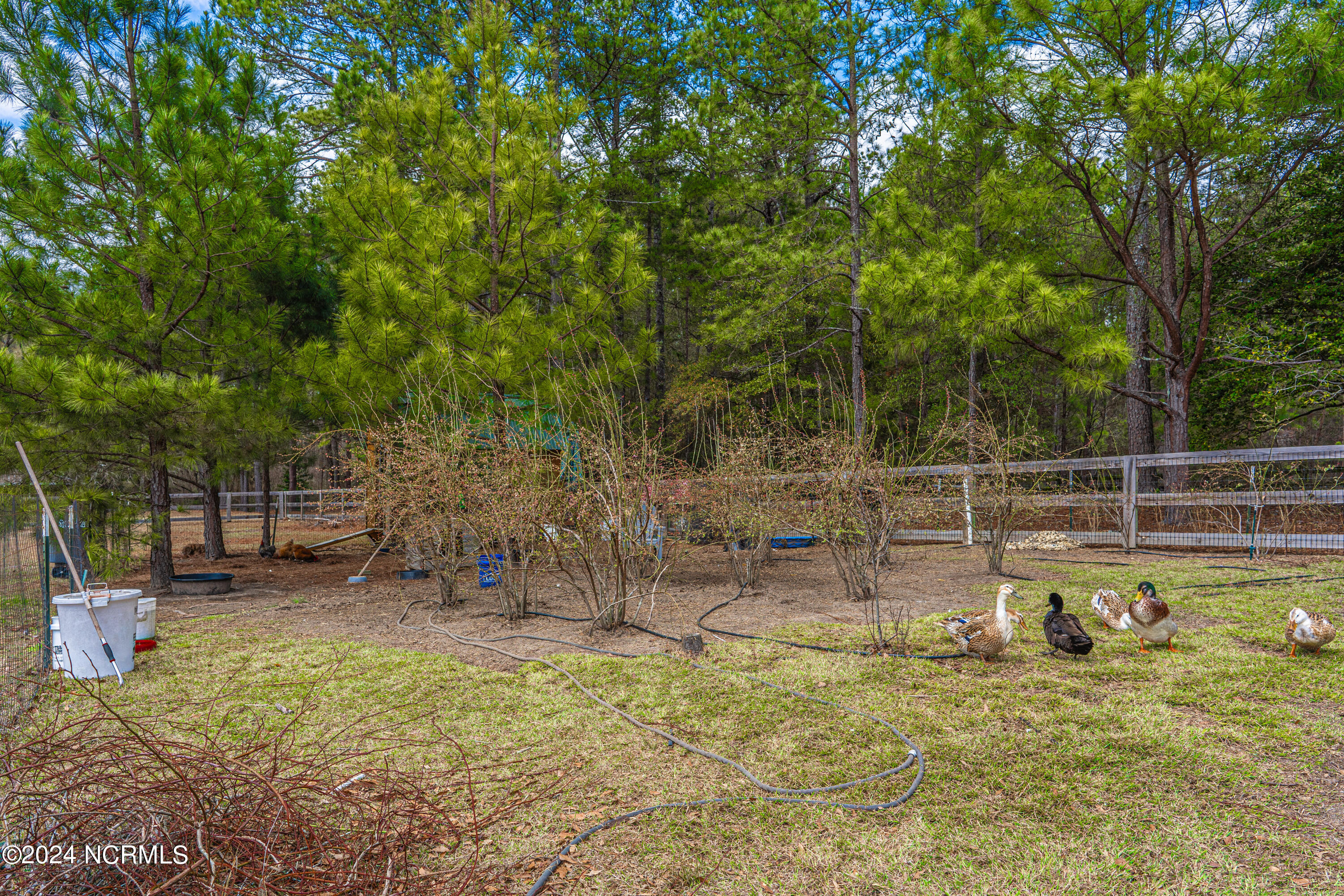 309 Pinecrest Court Road