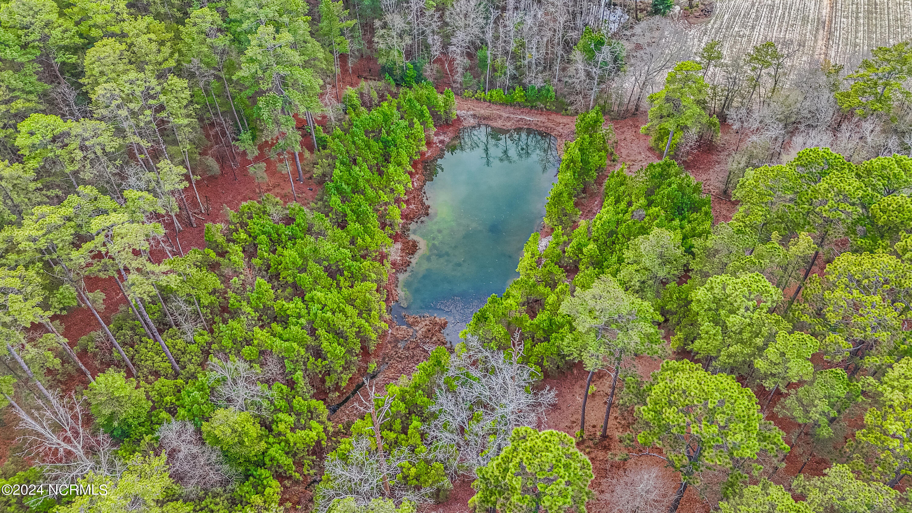 309 Pinecrest Court Road