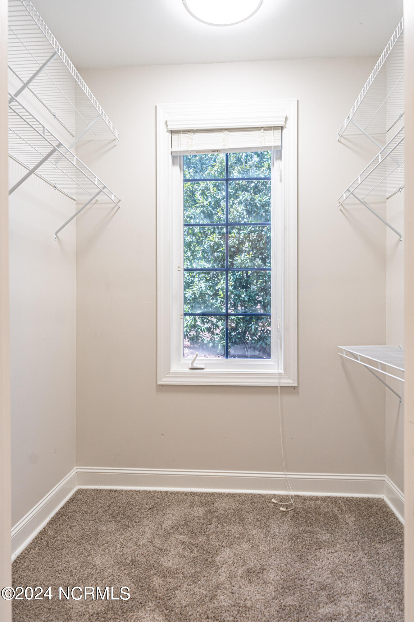 430 Lighthorse Circle