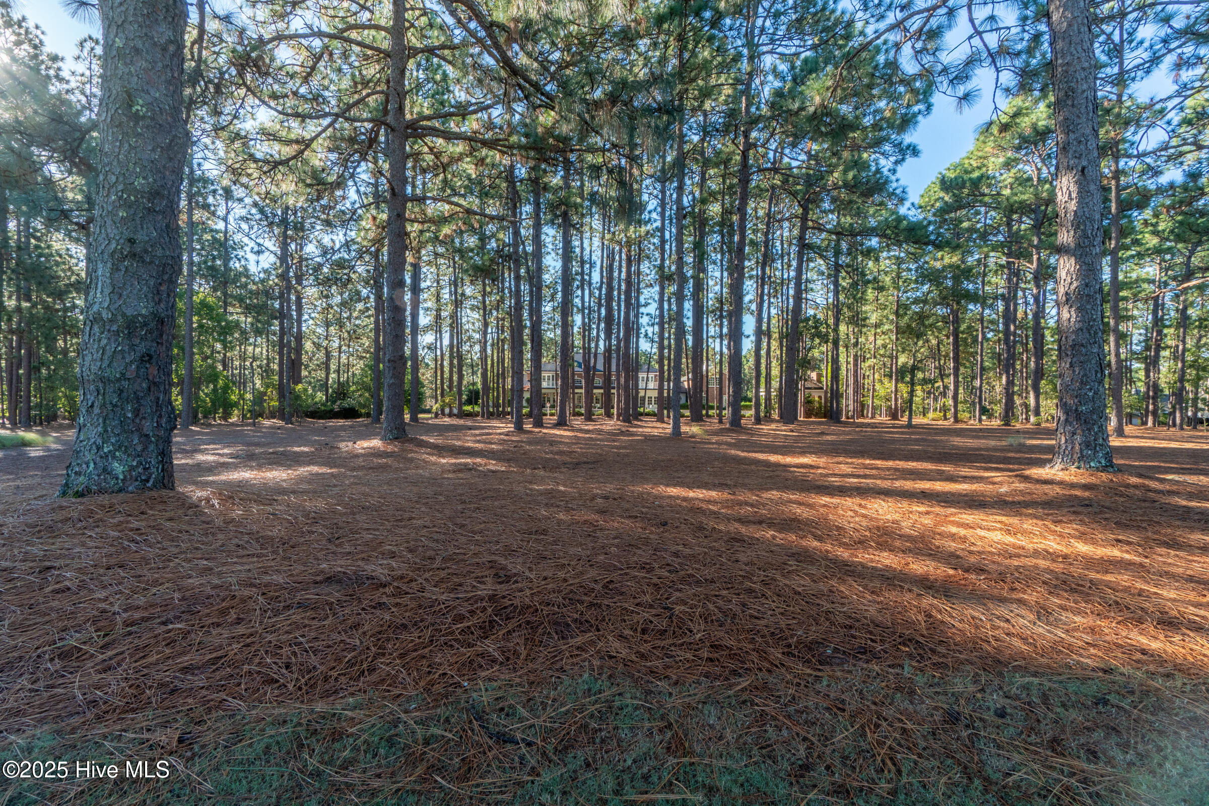 70 Cypress Point Drive