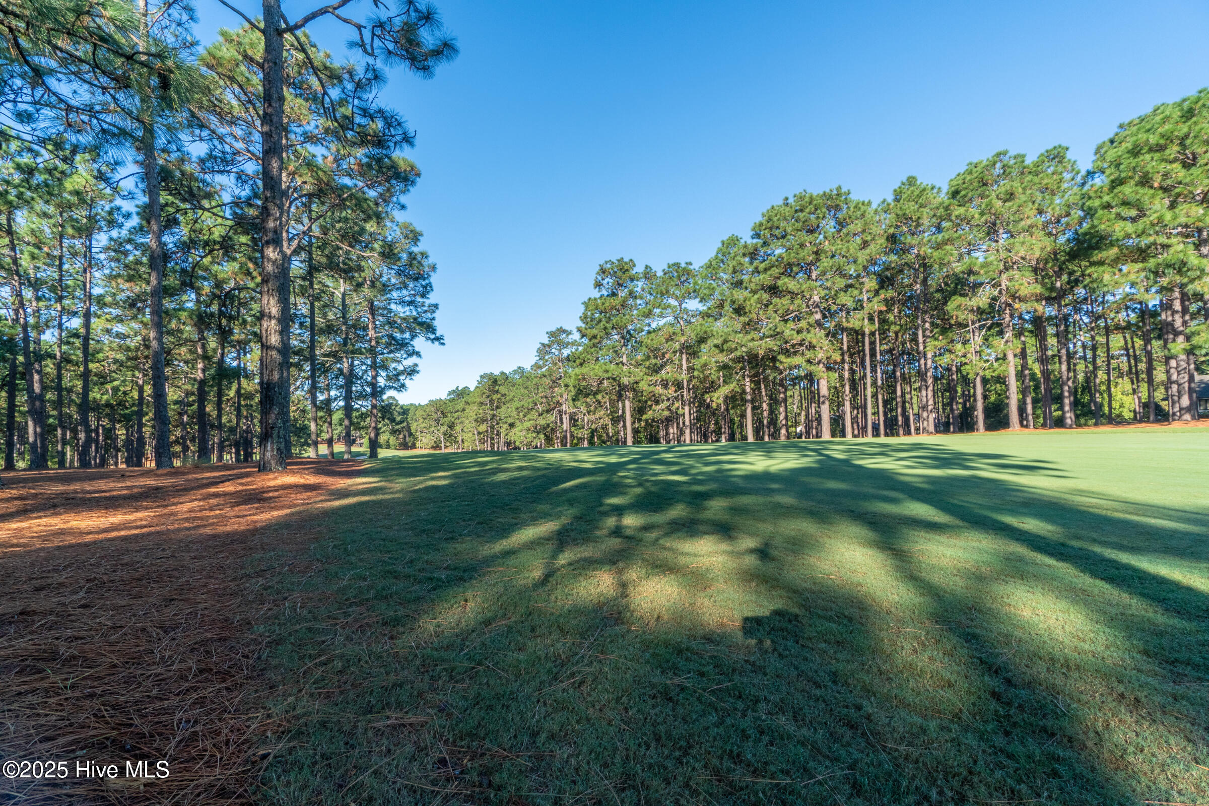 70 Cypress Point Drive