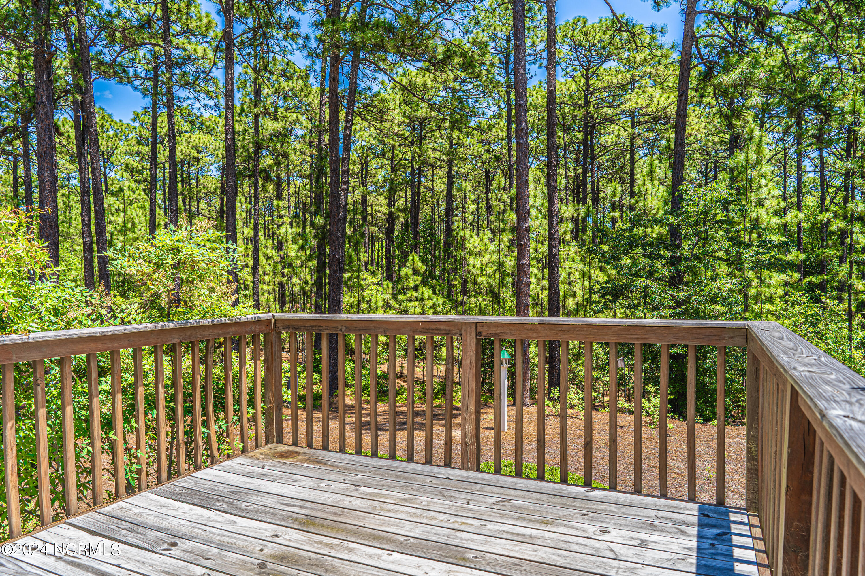 2440 Longleaf Drive W