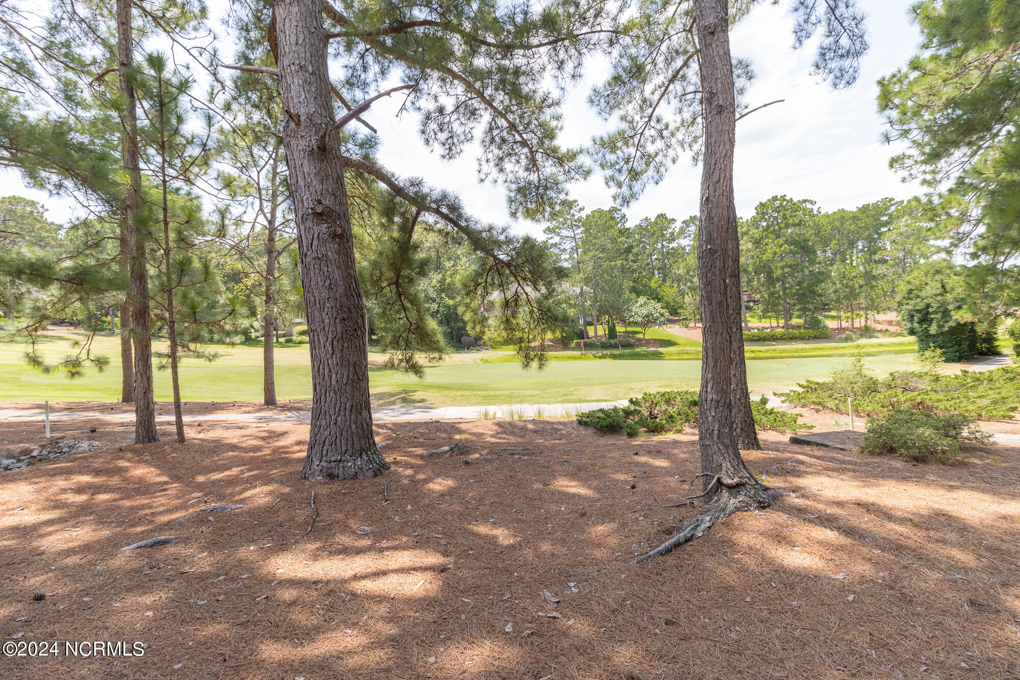 110 Barton Hills Court