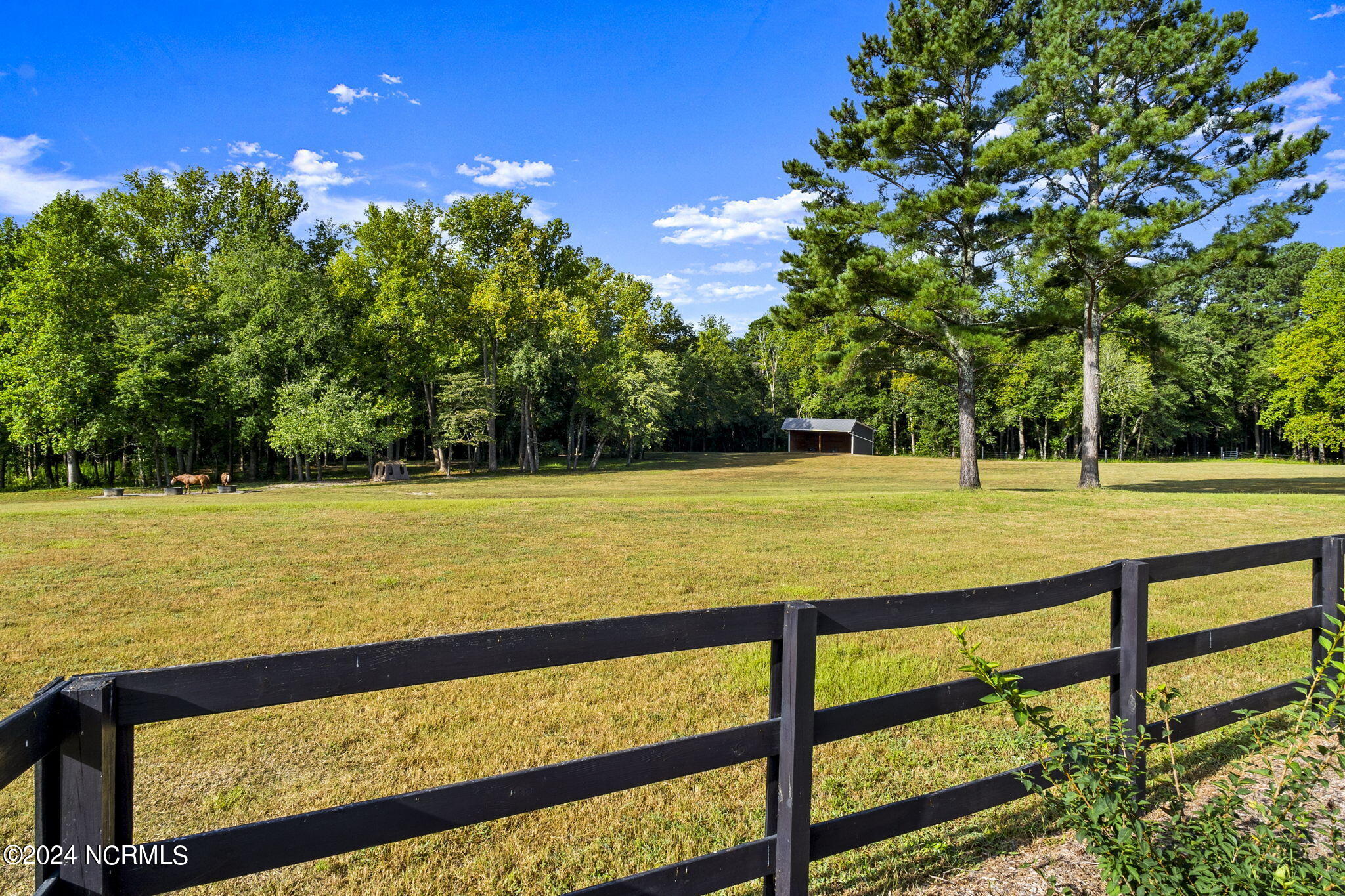 180 Opie Drive