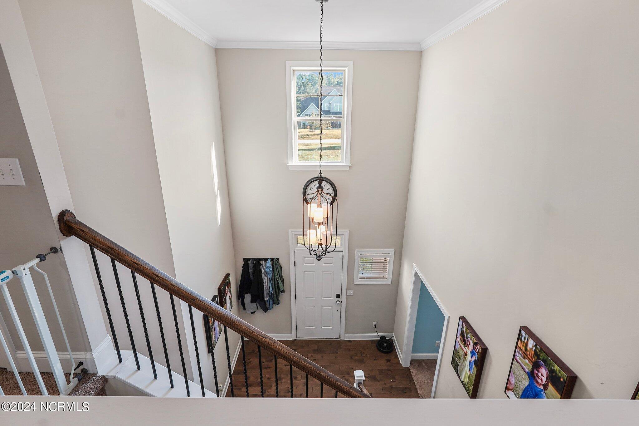 501 Daylily Court
