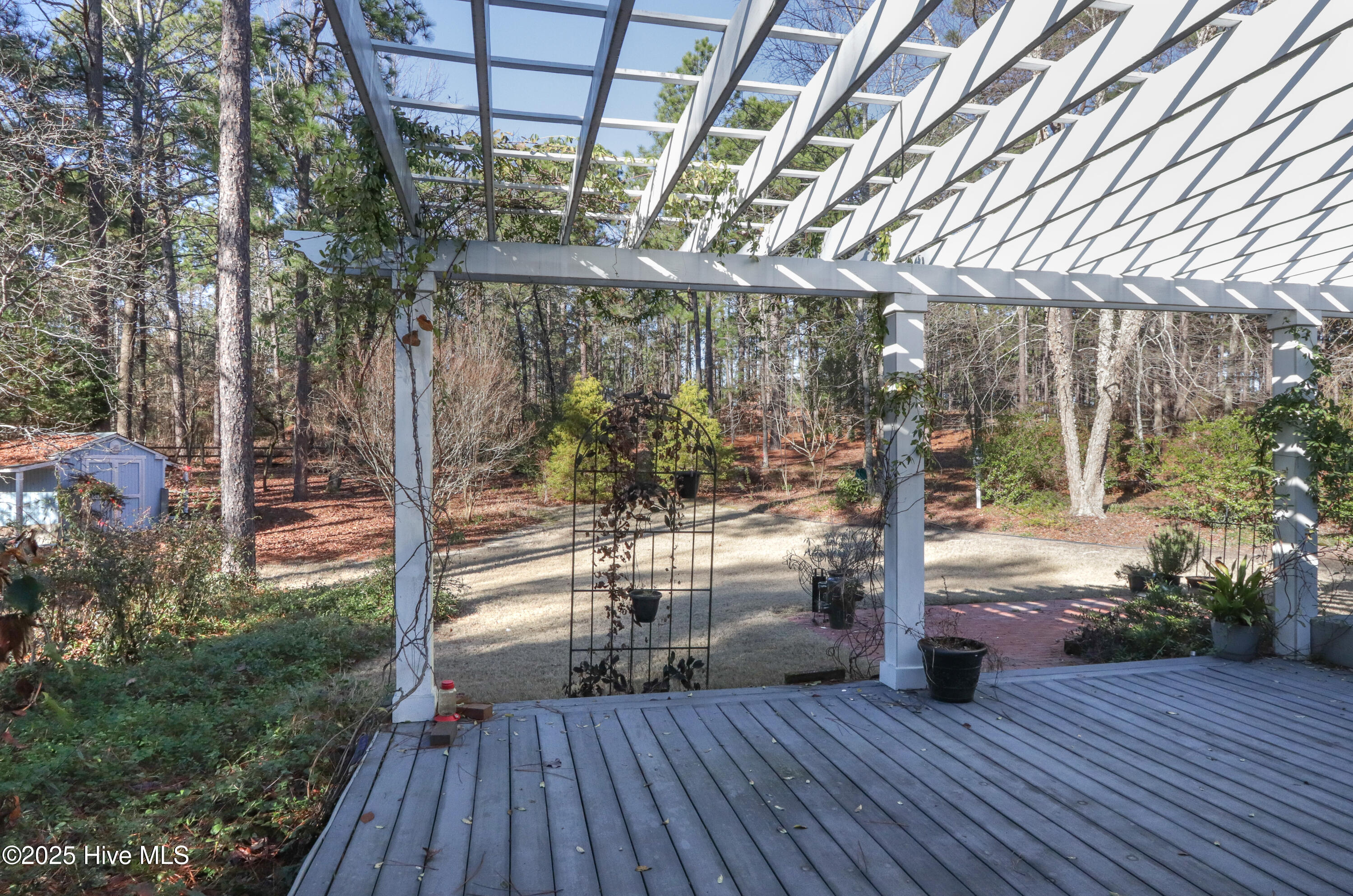 203 Lazar Lane