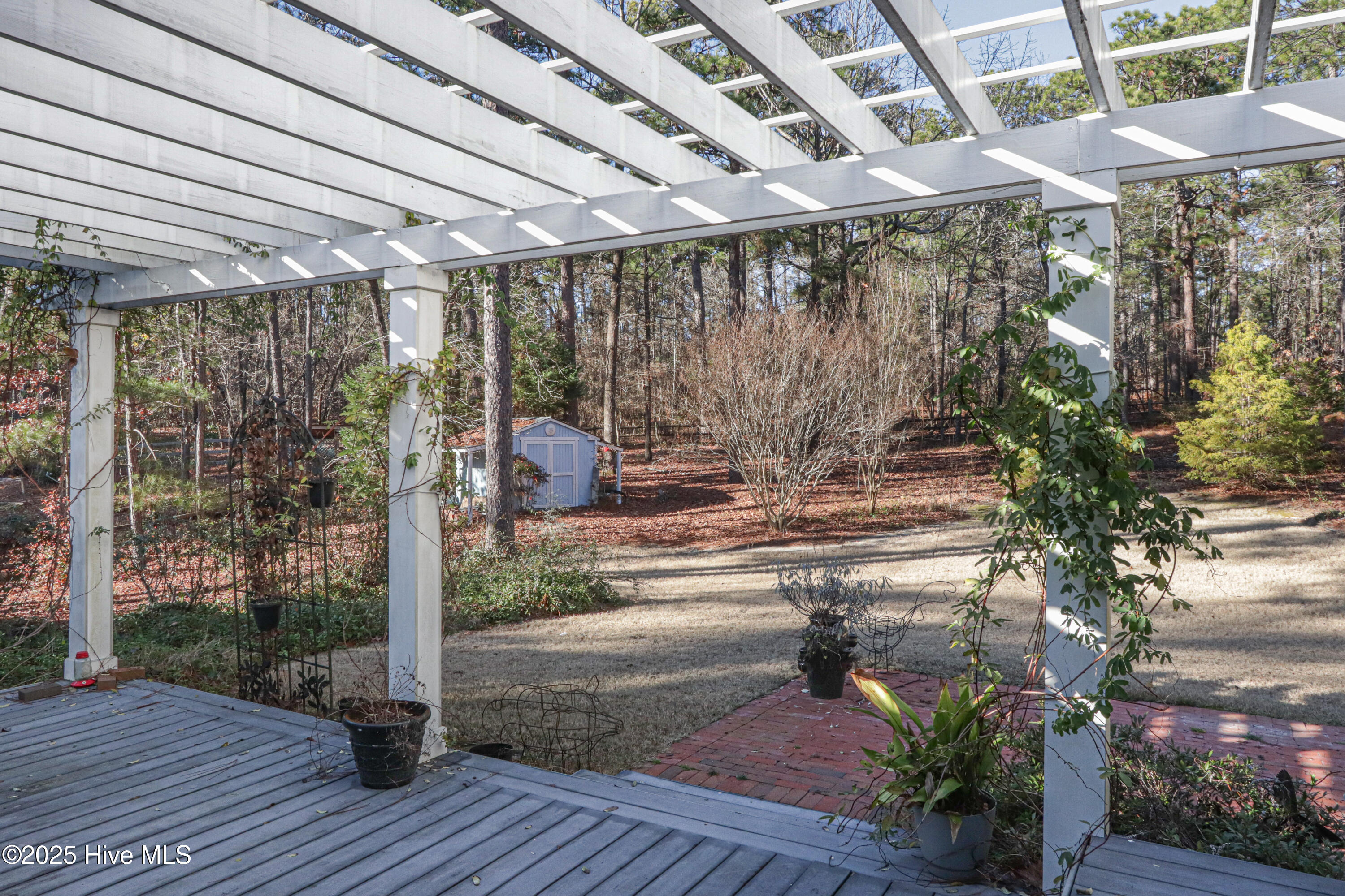 203 Lazar Lane