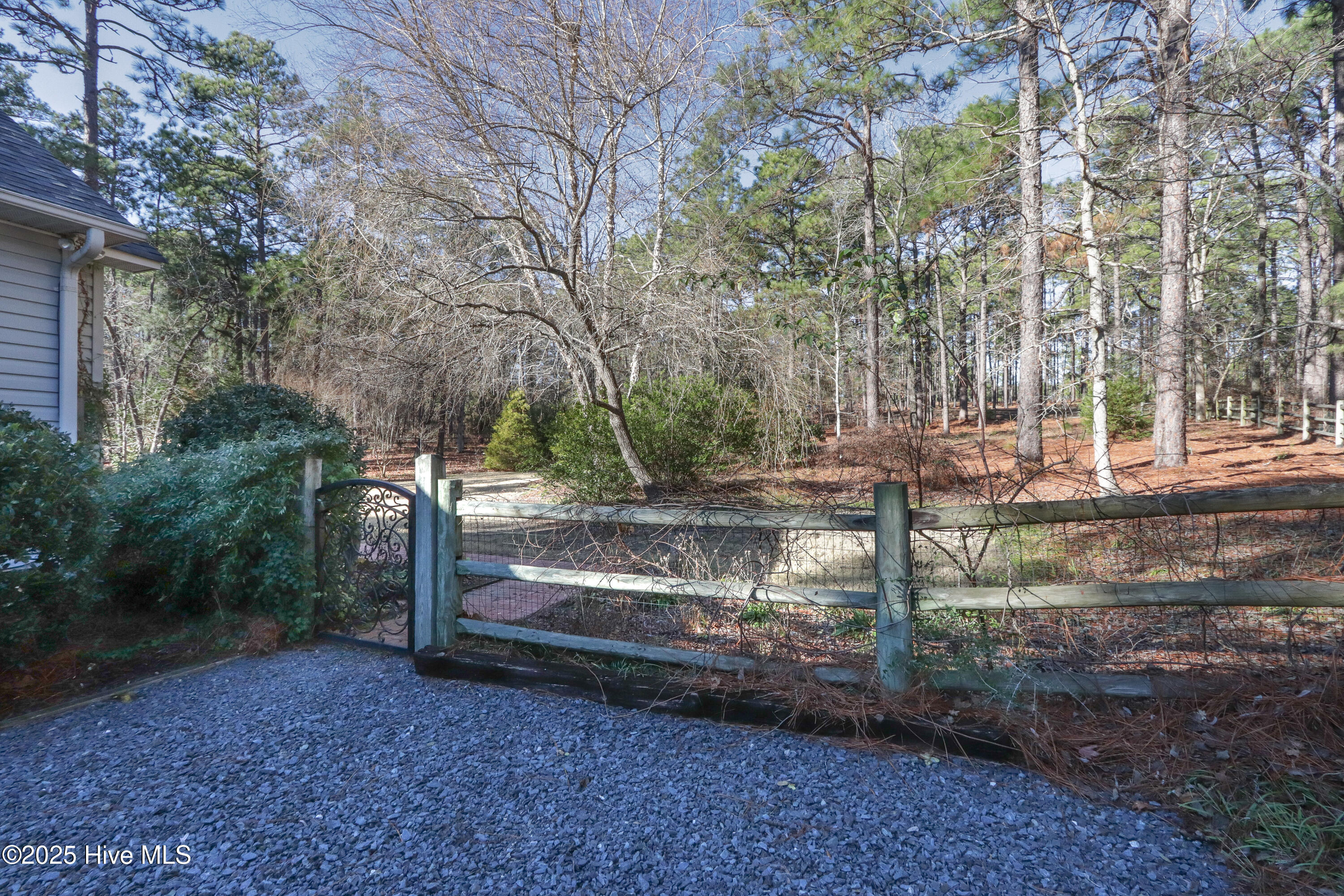 203 Lazar Lane