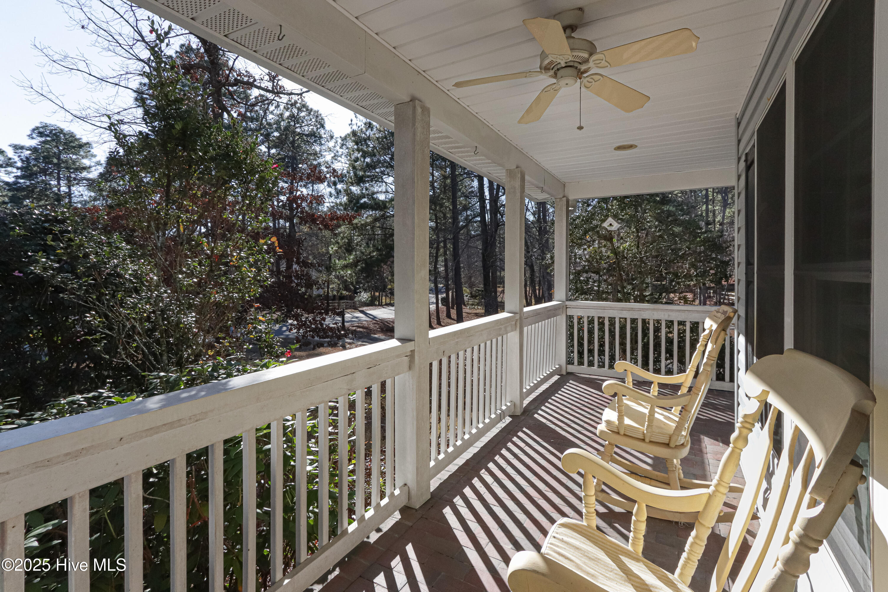 203 Lazar Lane
