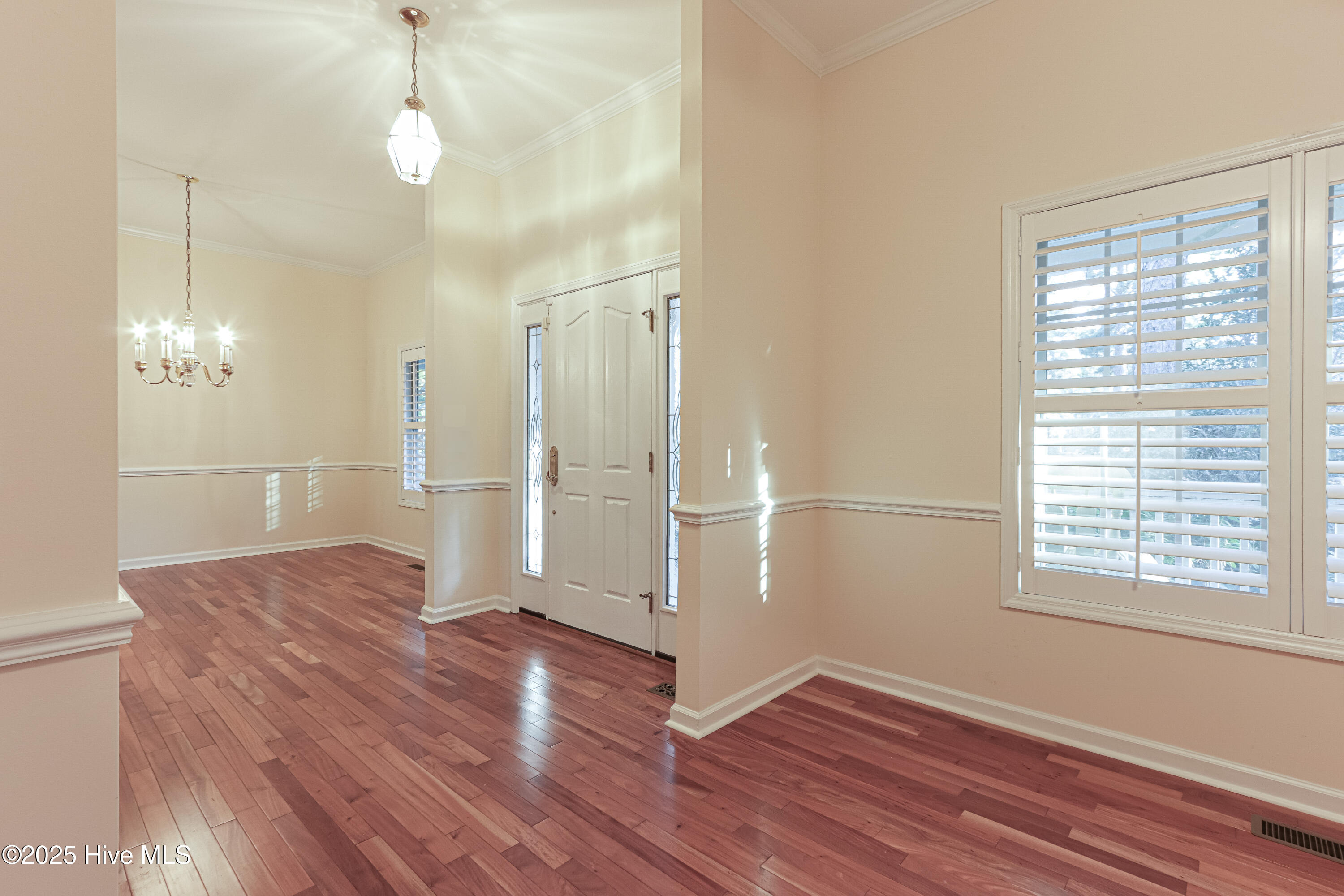 203 Lazar Lane