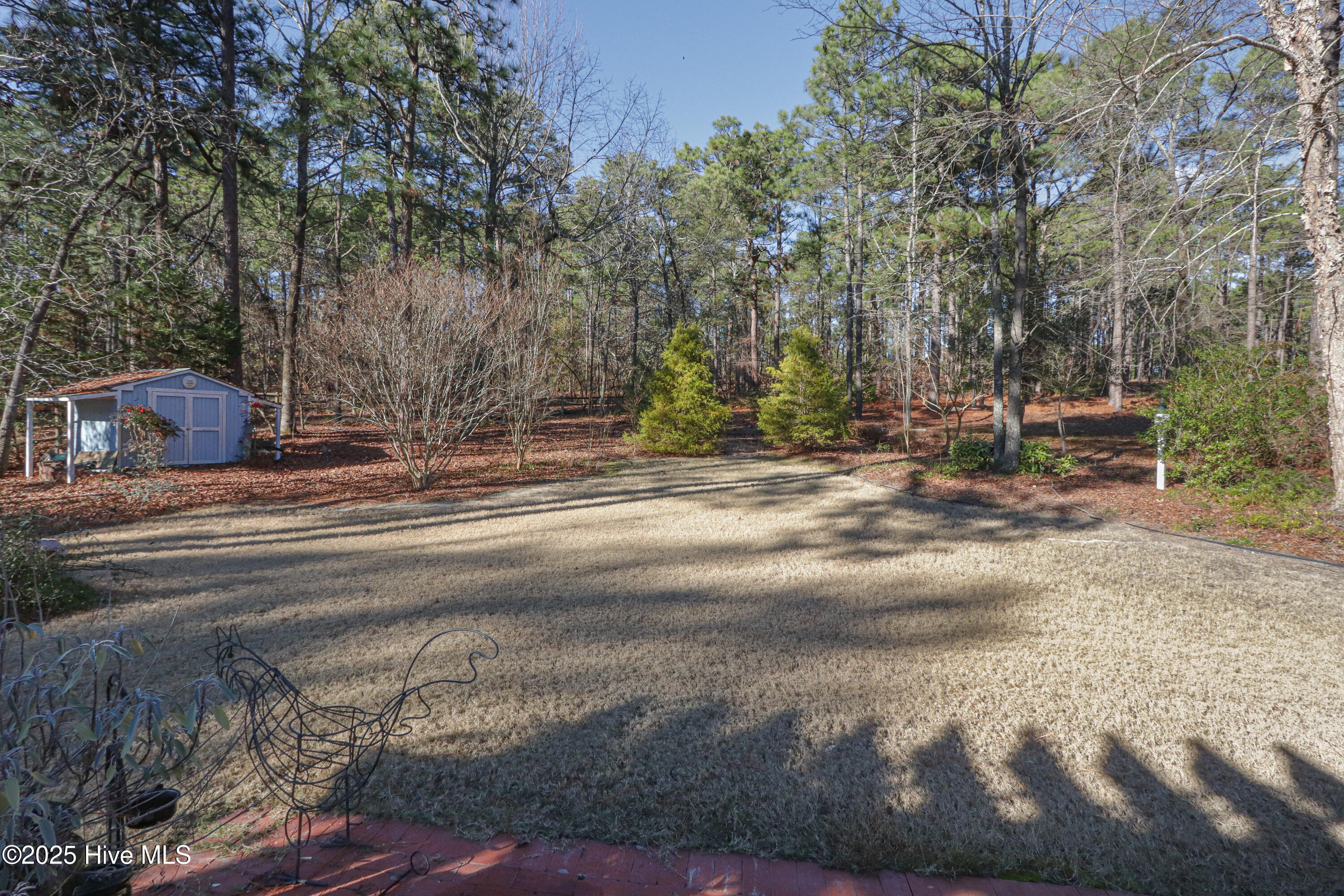 203 Lazar Lane