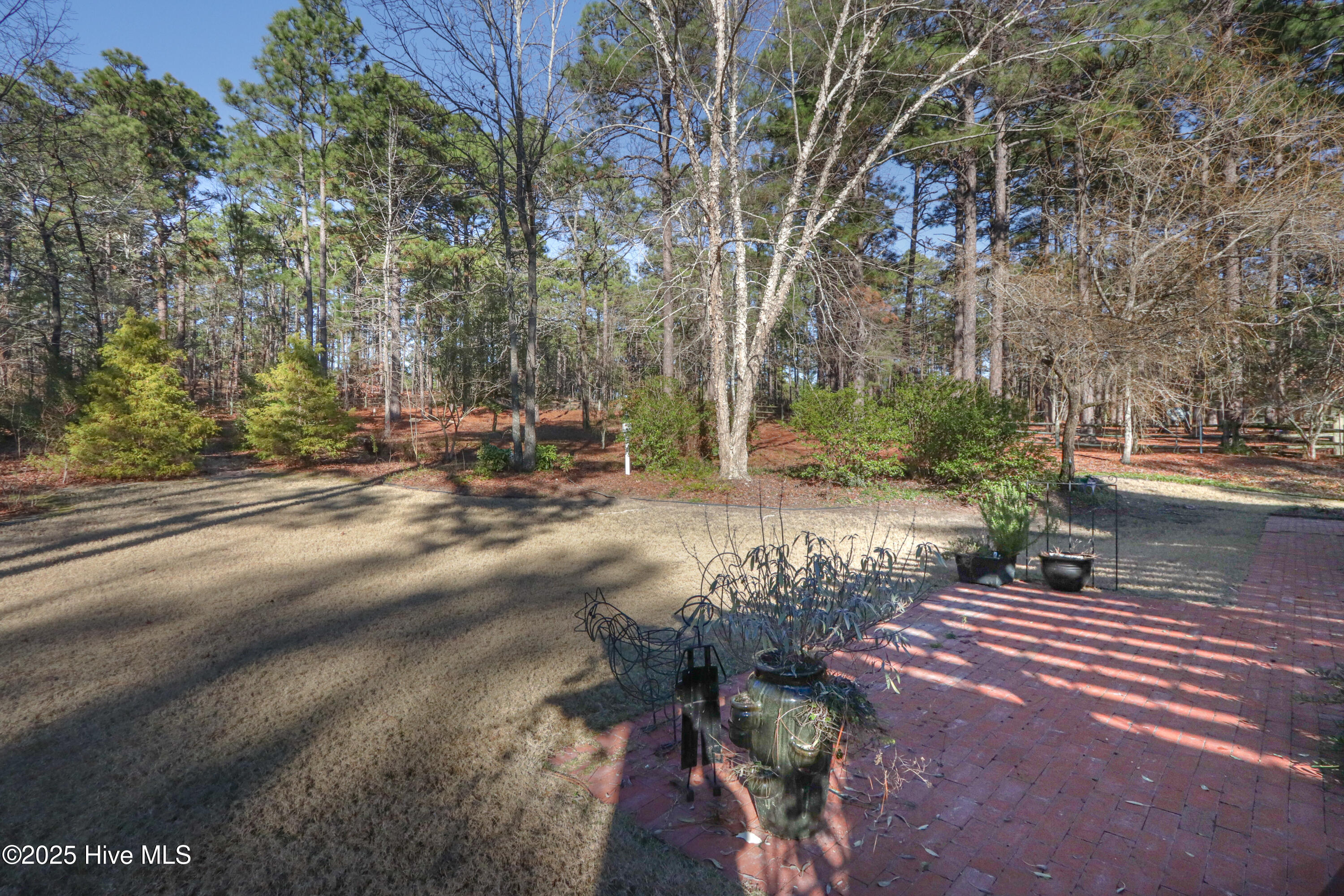 203 Lazar Lane